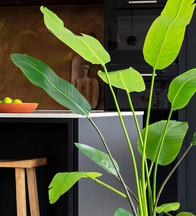 Artificial Bird of Paradise