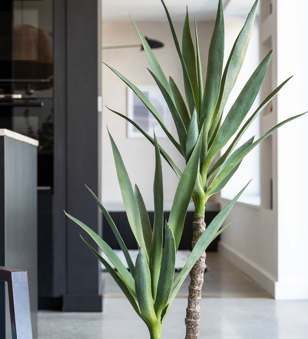 Artificial Yucca Plant