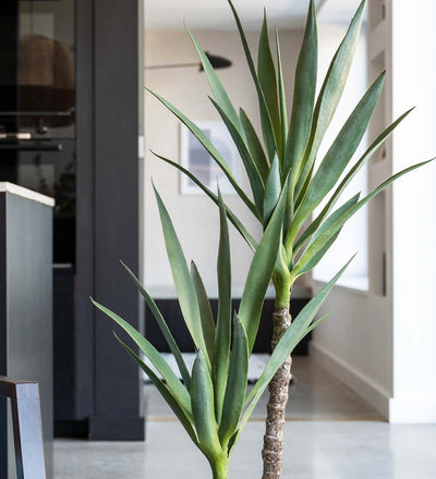 Artificial Yucca Plant