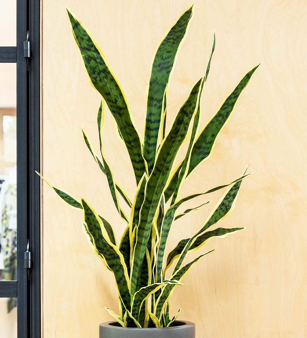  Artificial Snake Plant