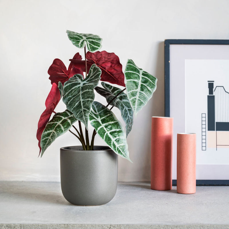 Artificial Alocasia Polly