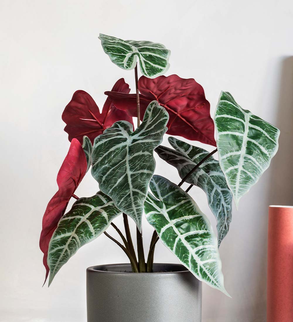 Artificial Alocasia Polly | Realistic Indoor Faux Plant