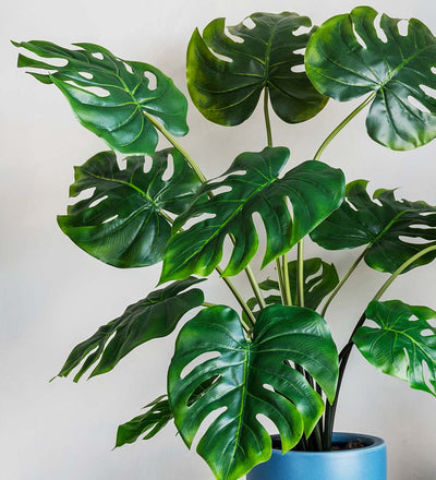 Artificial Swiss Cheese Plant