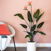 Artificial Bird of Paradise (Flowering)