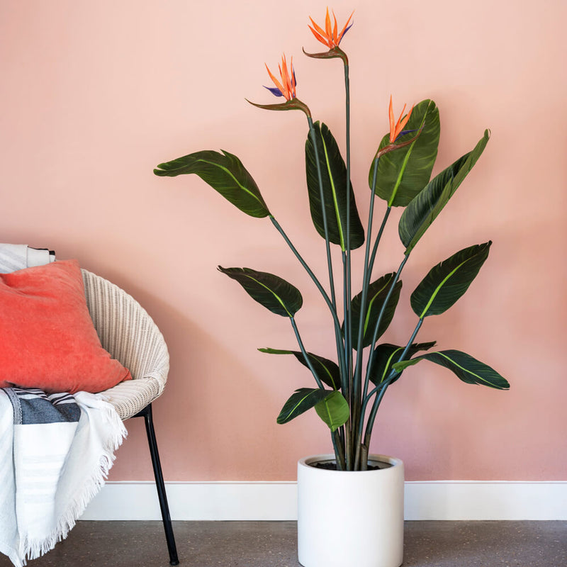 Artificial Bird of Paradise (Flowering)