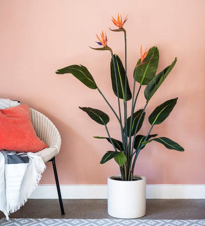 Artificial Large Bird of Paradise (Flowering)
