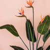 Artificial Bird of Paradise (Flowering)