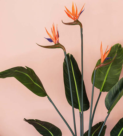 Artificial Large Bird of Paradise (Flowering)