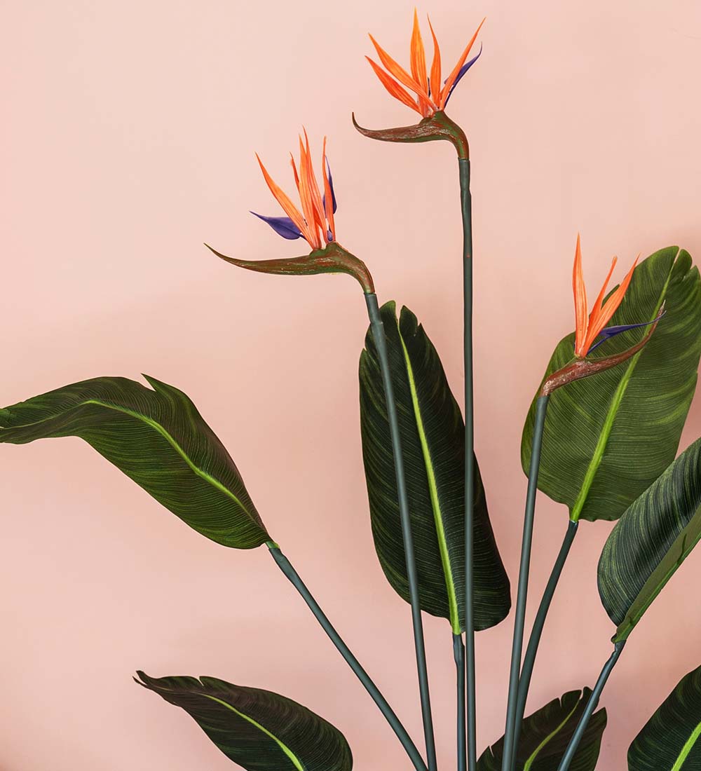 Artificial Bird of Paradise (Flowering)