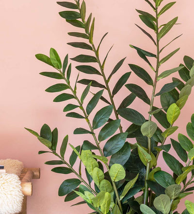 Artificial ZZ Plant (Tall)