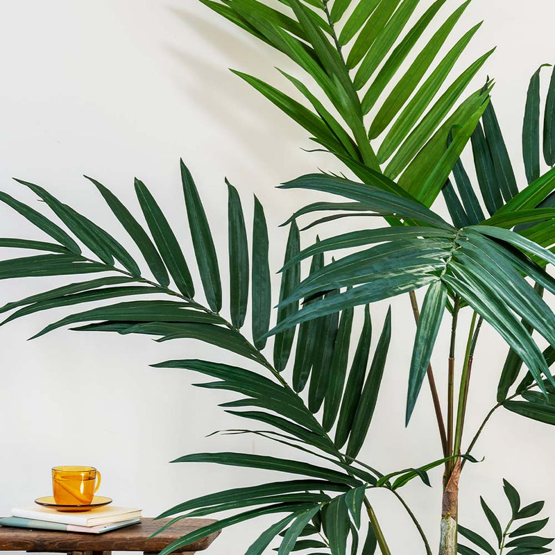 Artificial Kentia Palm