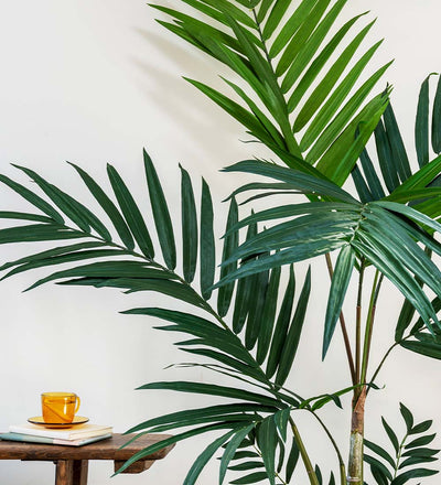 Artificial Kentia Palm