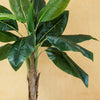 Artificial Banana Tree