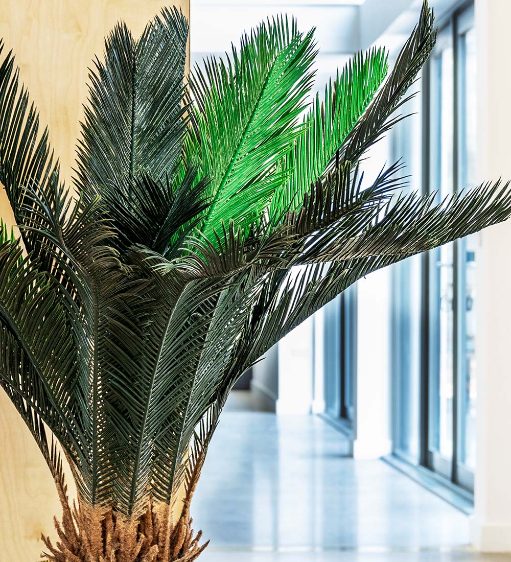 Artificial Sago Palm
