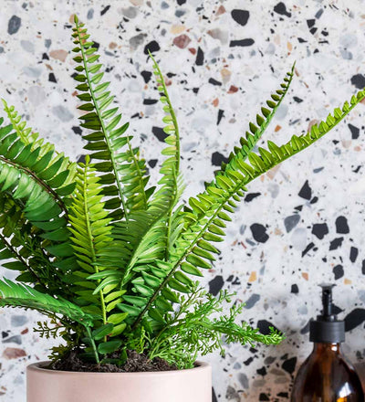 Artificial Boston Fern