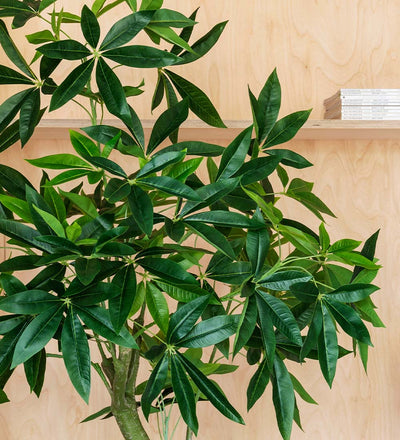 Artificial Money Tree
