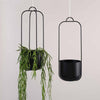 Black Hübsch Iron Hanging Planter