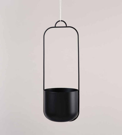 Black Hübsch Iron Hanging Planter