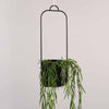Black Hübsch Iron Hanging Planter Single