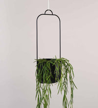 Black Hübsch Iron Hanging Planter Single Image