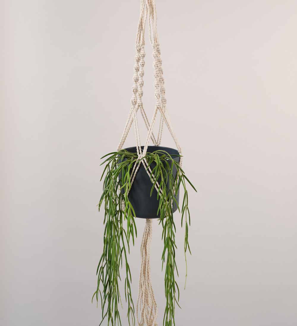 Jute Macrame Hanger