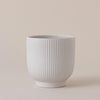 White Ribbed Ceramic Pot (13cm)
