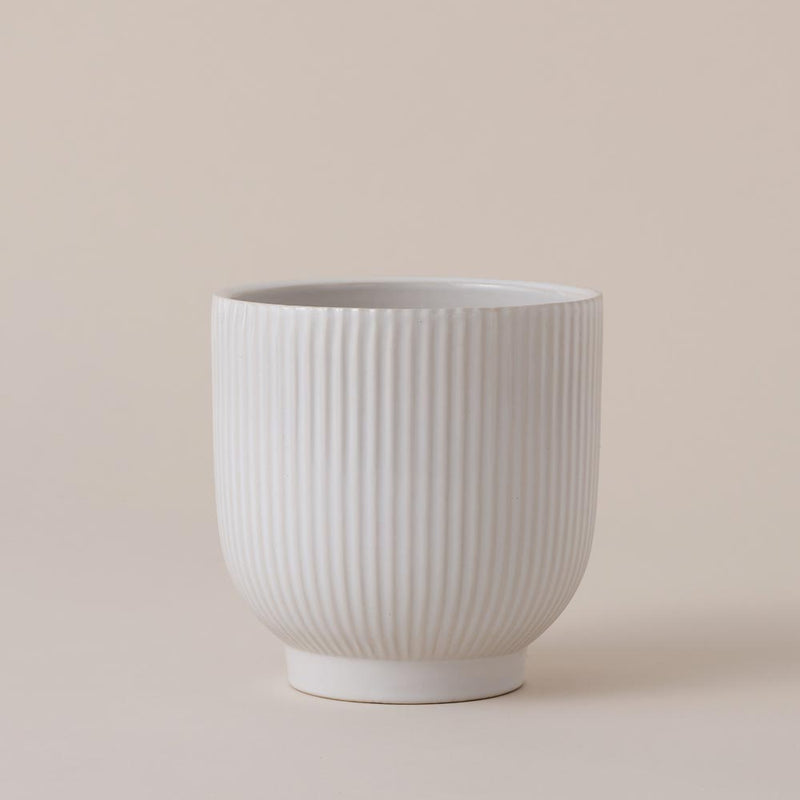 White Ribbed Ceramic Pot (13cm)