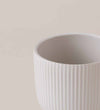 White Ribbed Ceramic Pot (13cm)
