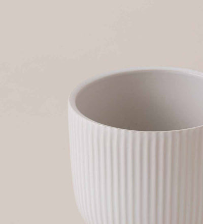 White Ribbed Ceramic Pot (13cm)