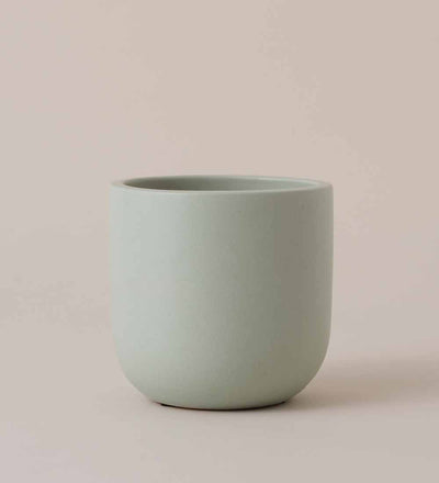Earthenware Pot (14cm) (5 Colours)