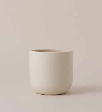 Earthenware Pot (14cm) (5 Colours)