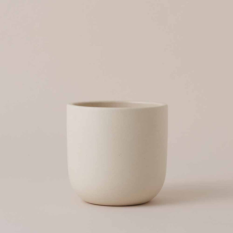 Oyster Earthenware Pot