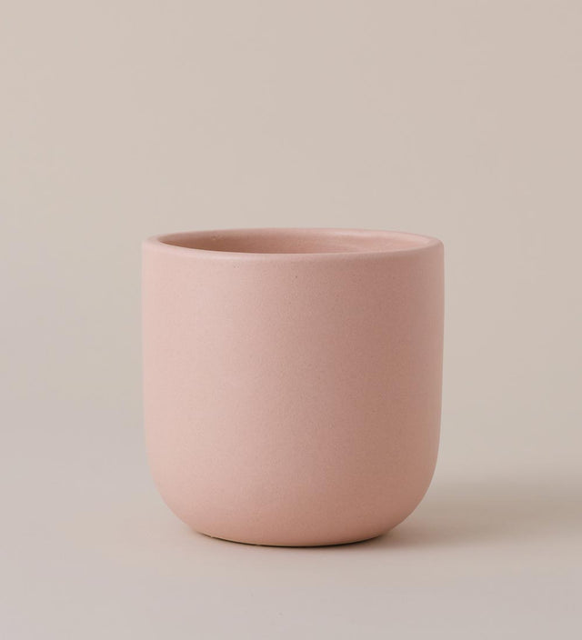 Pink Clay Earthenware Pot (14cm)