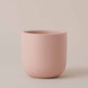 Earthenware Pot (14cm) (5 Colours)