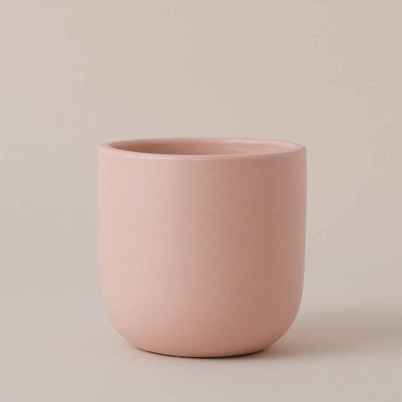 Earthenware Pot (14cm) (5 Colours)