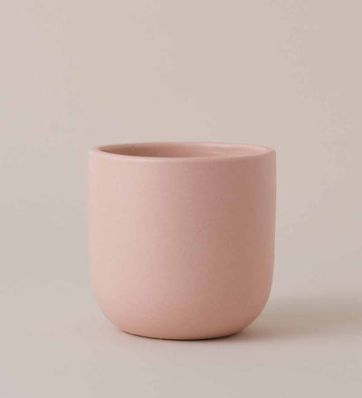 Earthenware Pot (14cm) (5 Colours)