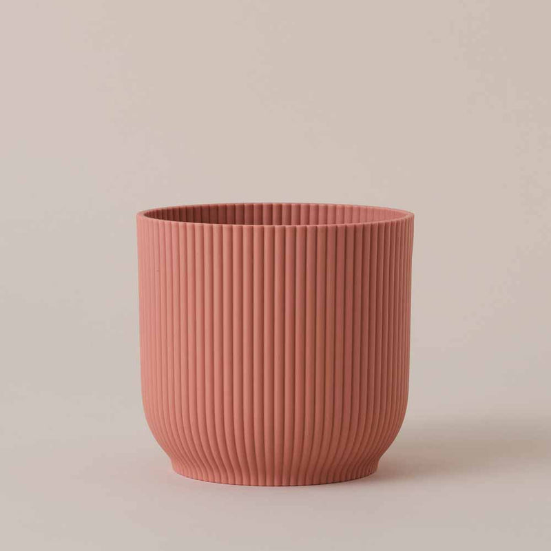 Rose Elho Vibes Pot