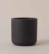 Dark Grey Concrete Pot