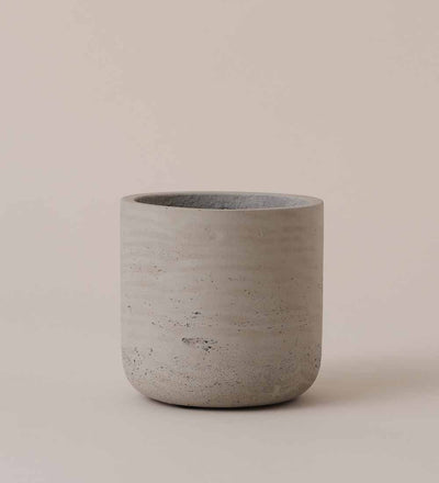 Stone Concrete Pot (10cm)