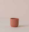 Rose Elho Vibes Pot (7cm)