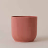 Rose Elho Vibes Pot