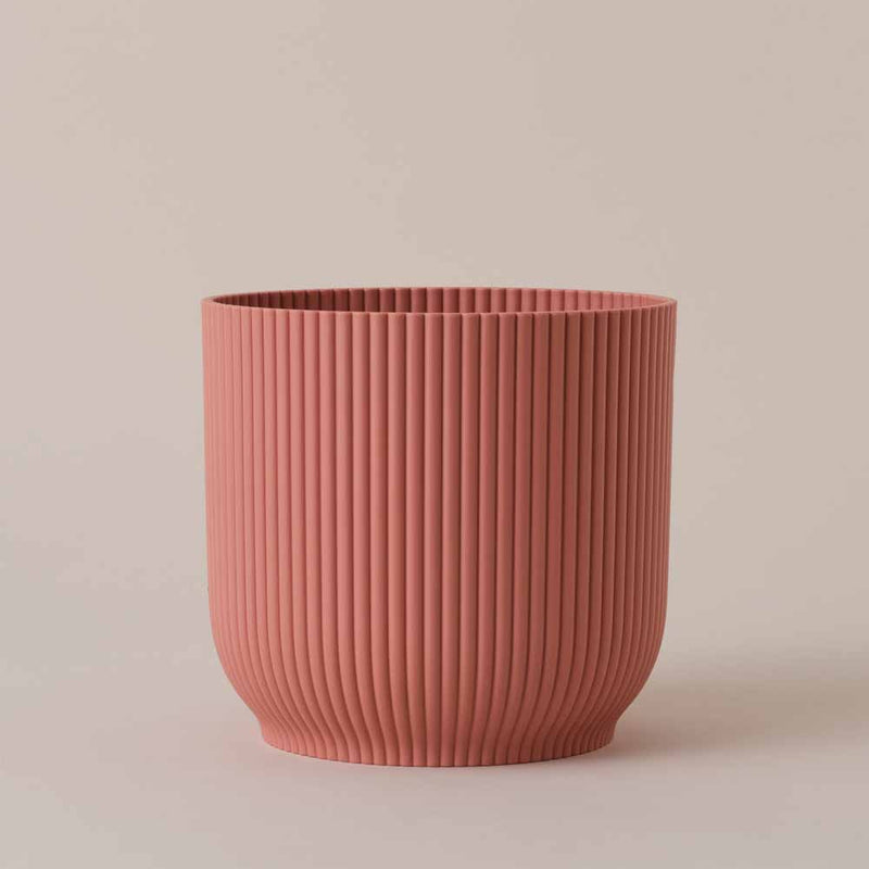 Rose Elho Vibes Pot