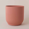 Rose Elho Vibes Pot