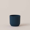 Teal Elho Vibes Pot (7cm)