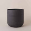 Dark Grey Concrete Pot (30cm)