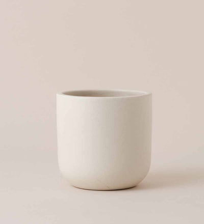 Earthenware Pot (16cm) (2 Colours)