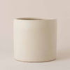Oyster Earthenware Pot
