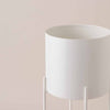 White Hübsch Planter with Stand