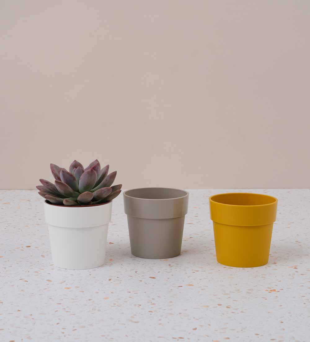 Elho Classic Pot