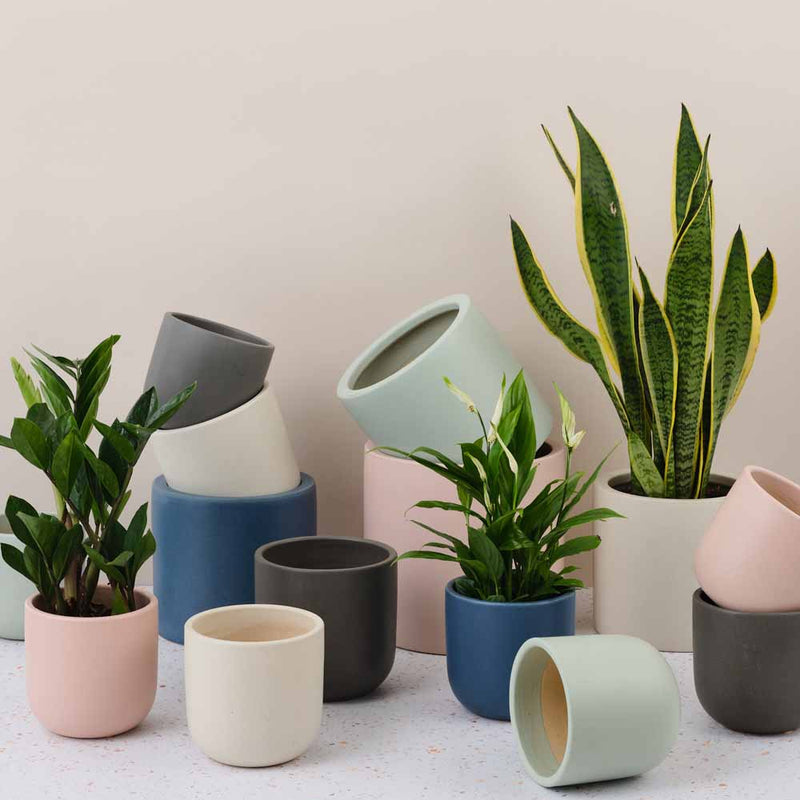 Graphite Earthenware Pot